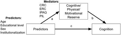 Mediation effects of cognitive, physical, and motivational reserves on cognitive performance in older people